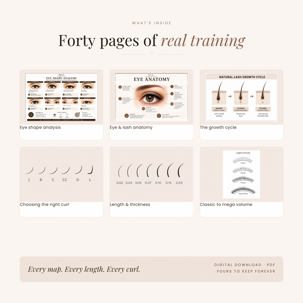 Lash Mapping Master Guide