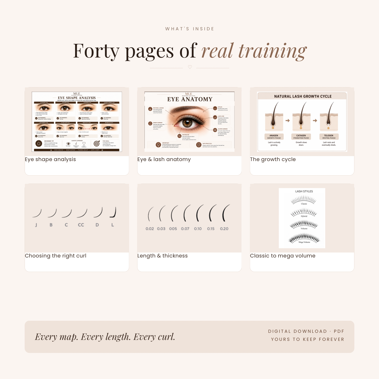 Lash Mapping Master Guide